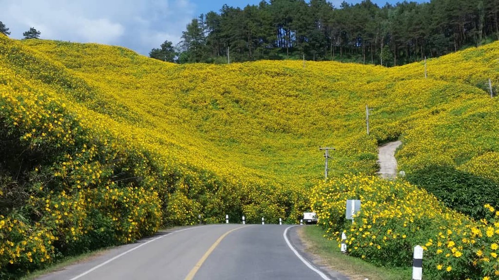 Khu Dân Cư Phú Mỹ Golden Valley – Thung Lũng Vàng 13 Thang 10 Da Quy nhuom nang ca thanh pho hoa