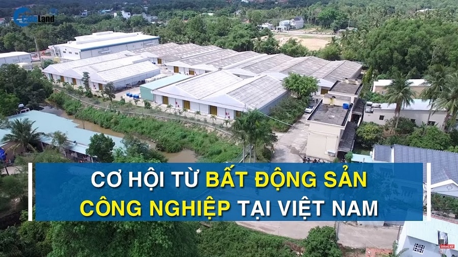 Bat dong san cong nghiep 3