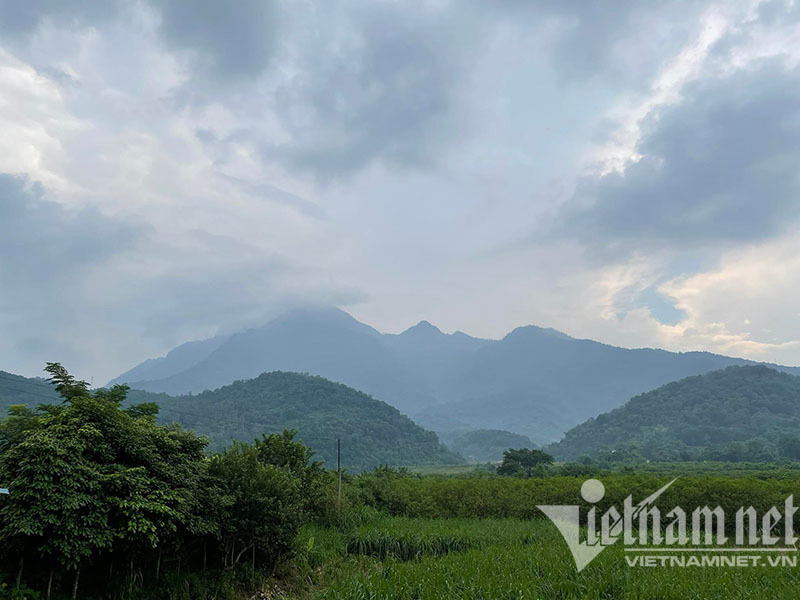 Về quê ăn Tết, giật mình giá đất tăng 'dựng đứng'
