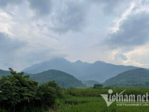 Về quê ăn Tết, giật mình giá đất tăng 'dựng đứng'