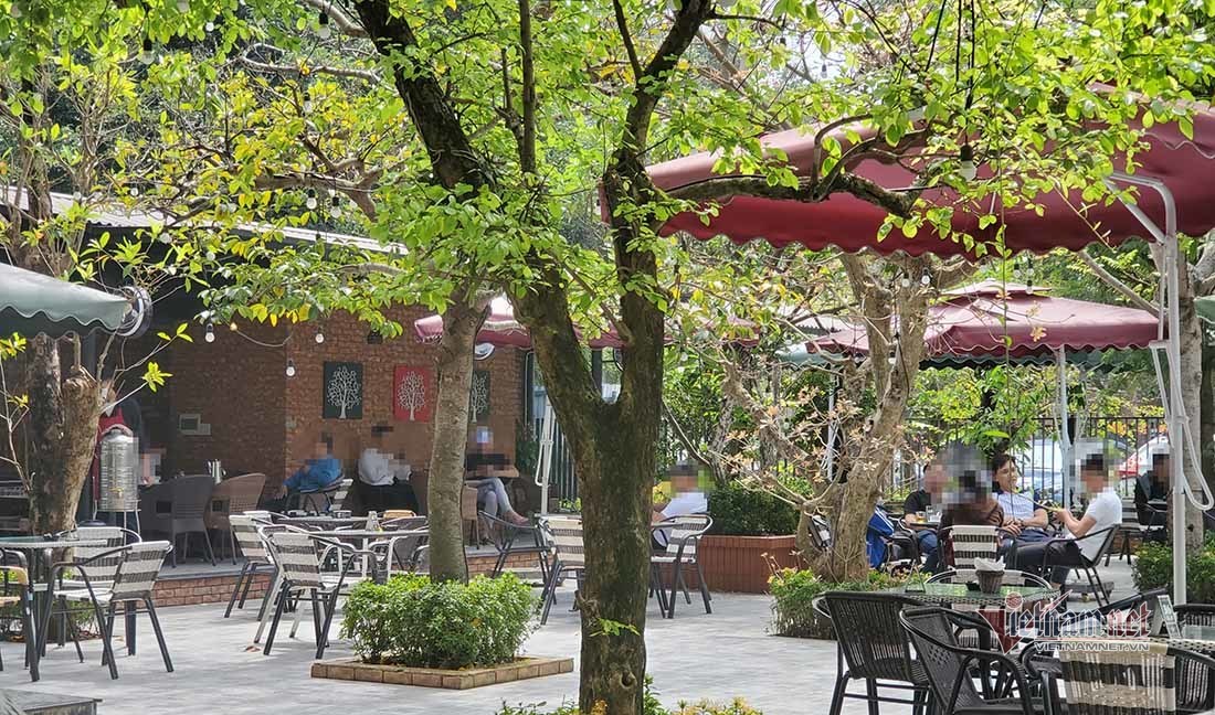 Sốt đất điên đảo, nhà đầu tư Nghệ An đổ xô vào Quảng Bình 'săn đất'