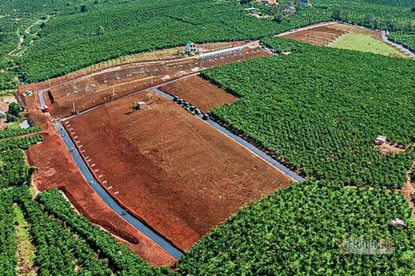 Dừng phân lô tách thửa đất nông nghiệp, đất nền sẽ tăng giá?