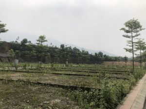 Ma trận "thổi" giá của "cò" đất, nhà đầu tư khó thoát - Ảnh 1.