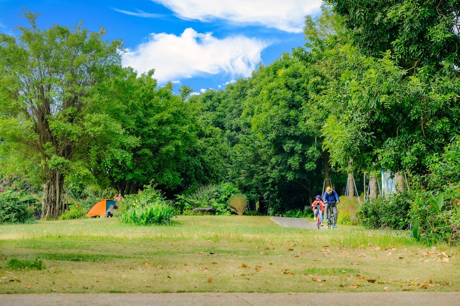 Trẻ con Ecopark có tuổi thơ của “thời ông bà, cha mẹ” - Ảnh 2. Trẻ con Ecopark có tuổi thơ của “thời ông bà, cha mẹ” - Ảnh 2.