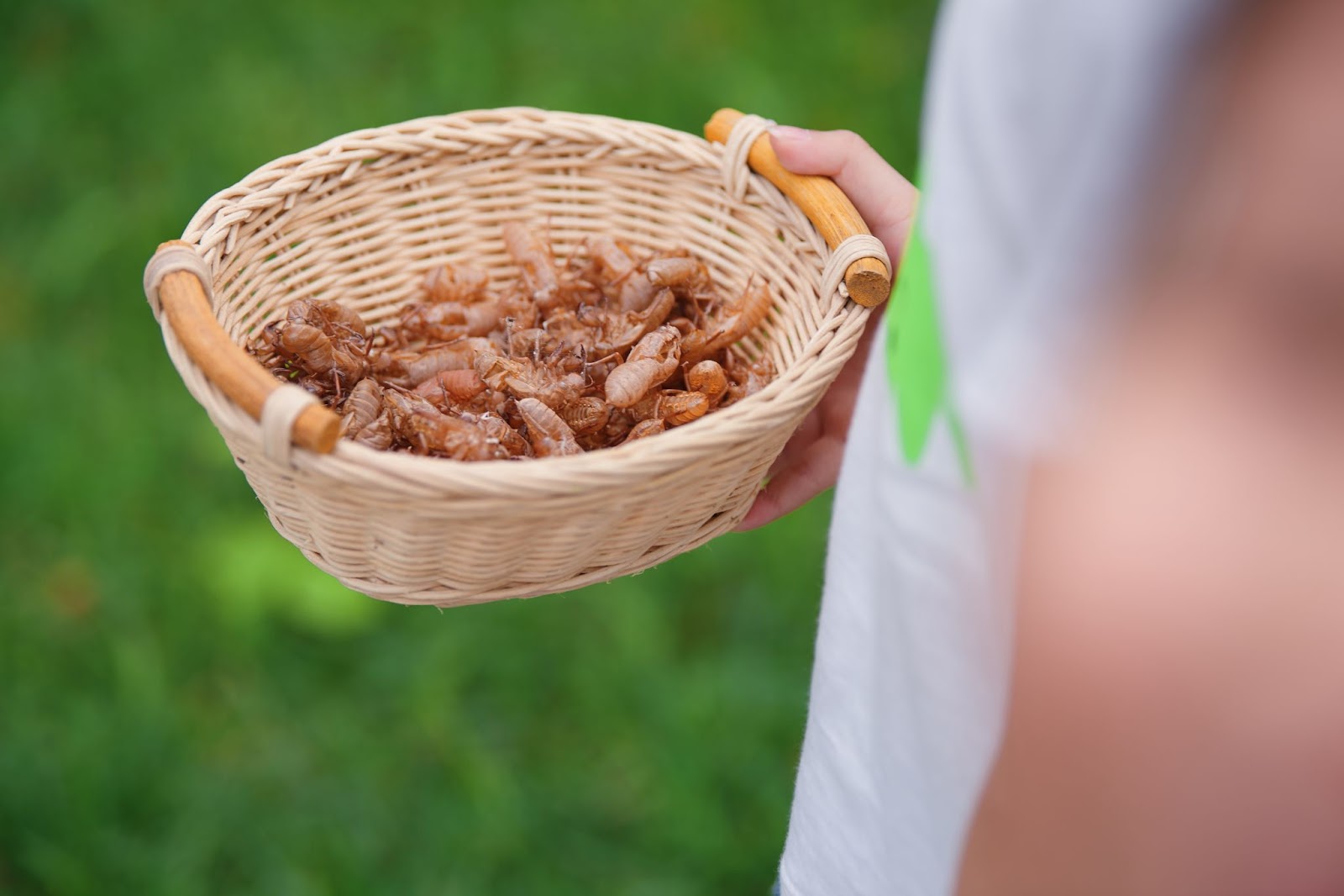 Trẻ con Ecopark có tuổi thơ của “thời ông bà, cha mẹ” - Ảnh 7. Trẻ con Ecopark có tuổi thơ của “thời ông bà, cha mẹ” - Ảnh 7.